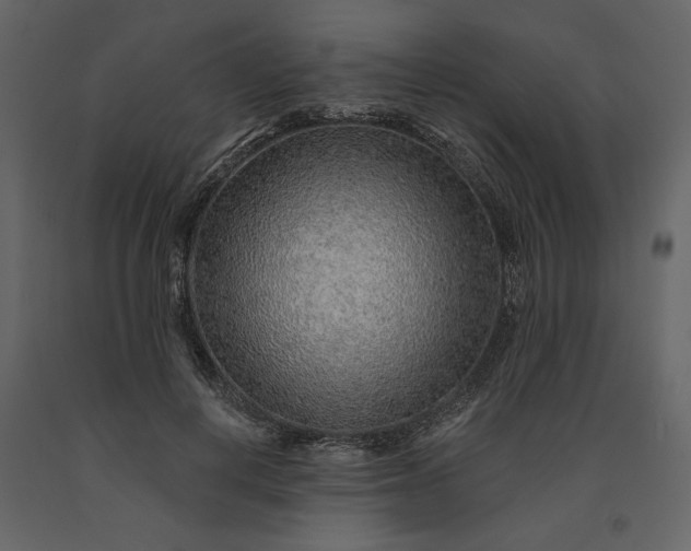 X0000091230648200708231655