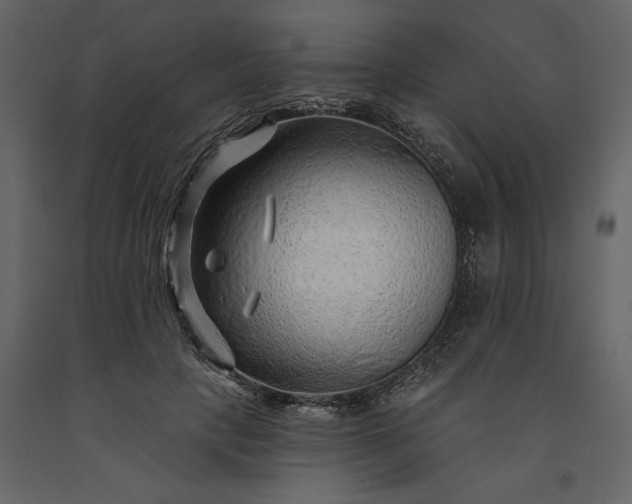 X0000091230649200708231655