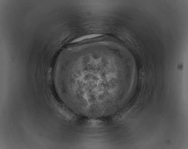X0000091230650200708231655