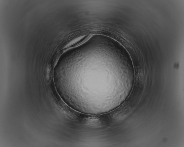 X0000091230651200708231655