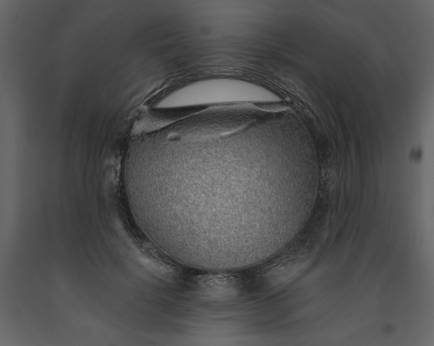 X0000091230652200708231655