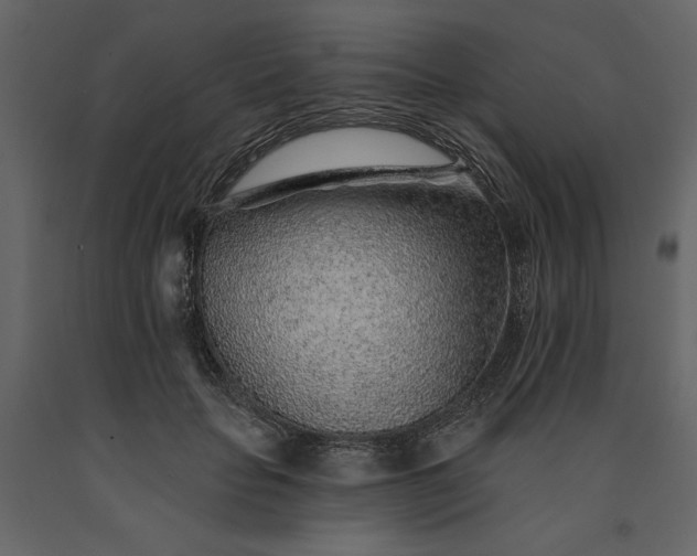 X0000091230653200708231655