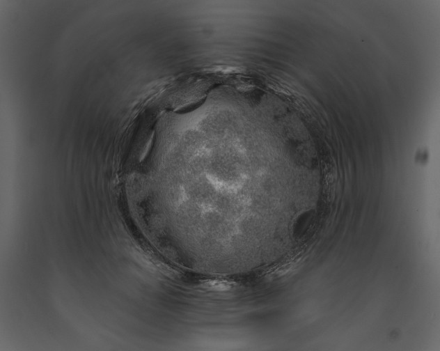 X0000091230654200708231655
