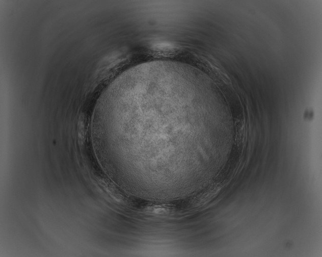 X0000091230655200708231655
