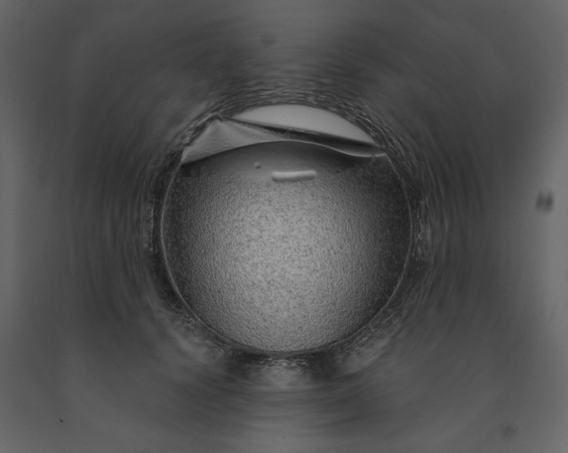 X0000091230656200708231655