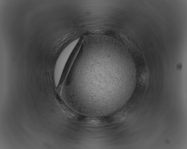 X0000091230658200708231655