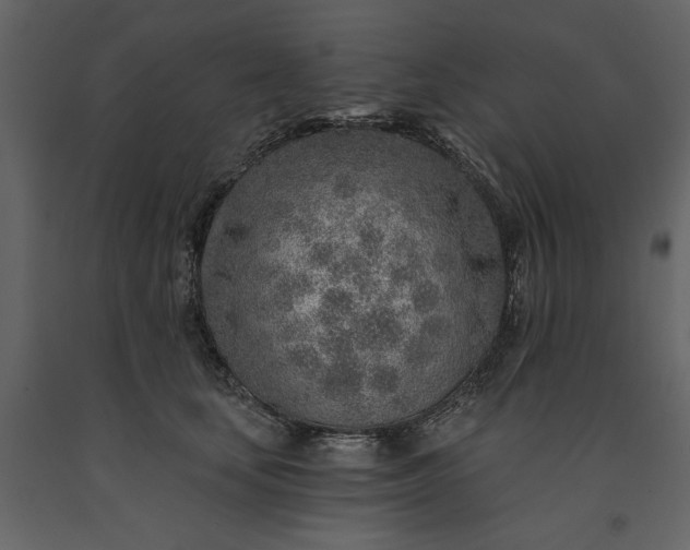 X0000091230659200708231655