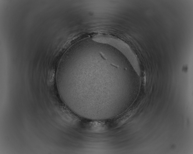 X0000091230660200708231655