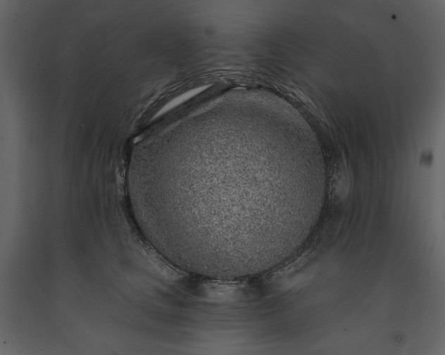 X0000091230661200708231655