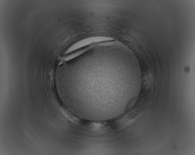 X0000091230662200708231655