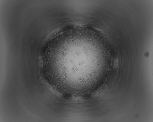 X0000091230666200708231656