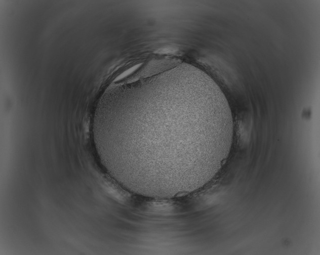 X0000091230668200708231656