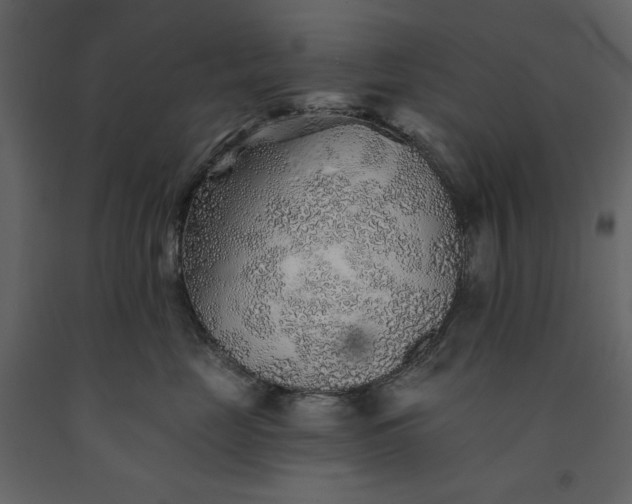 X0000091230669200708231656
