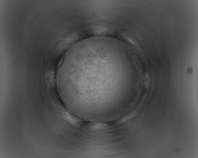 X0000091230670200708231656