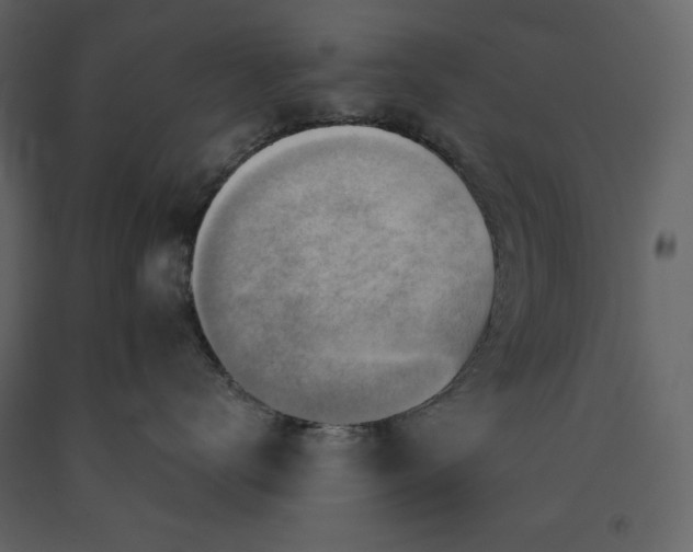 X0000091230672200708231656