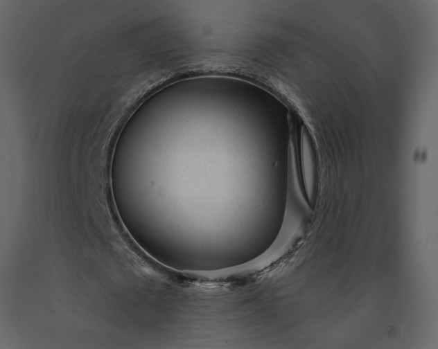 X0000091230673200708231655