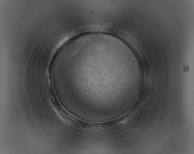 X0000091230674200708231655