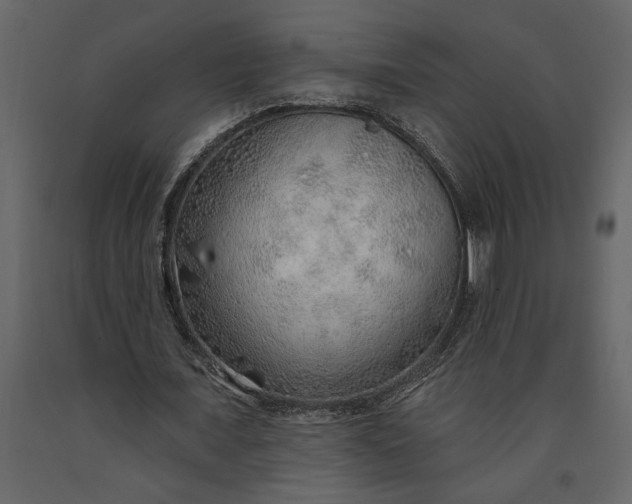 X0000091230675200708231655