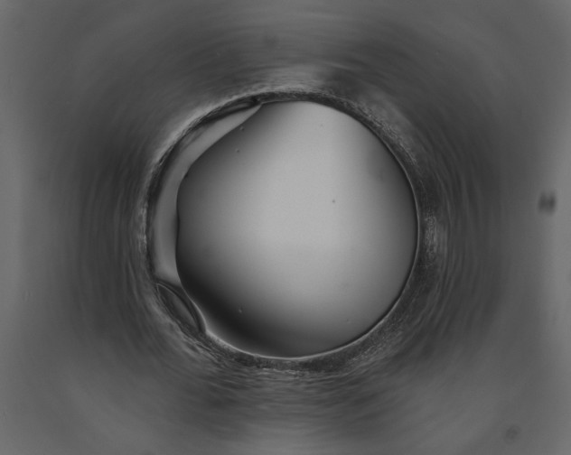 X0000091230676200708231655