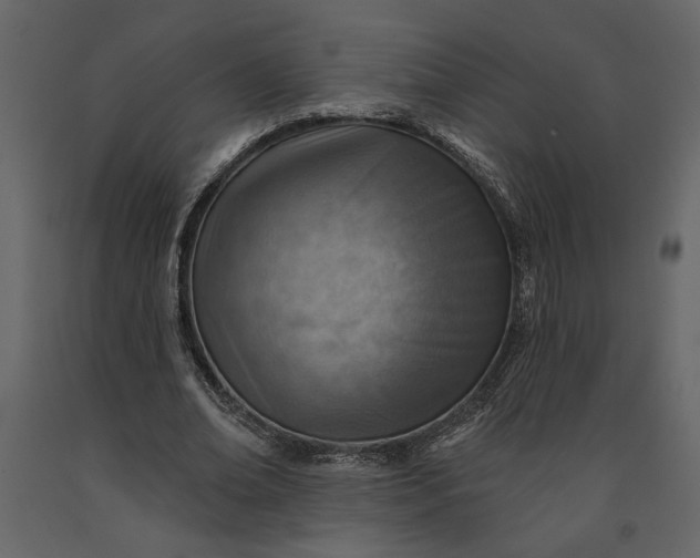 X0000091230678200708231655