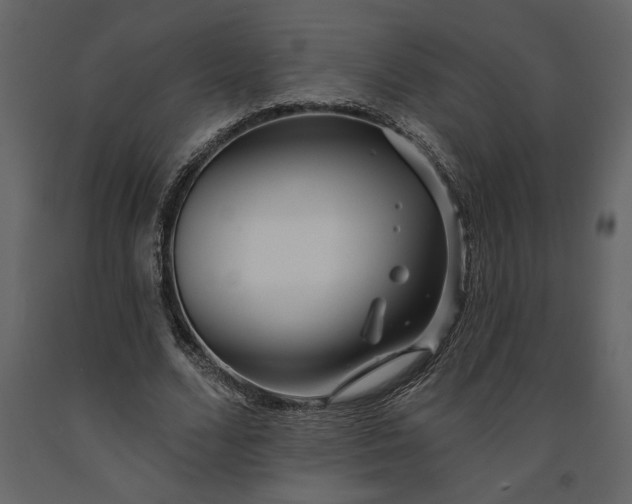 X0000091230680200708231655