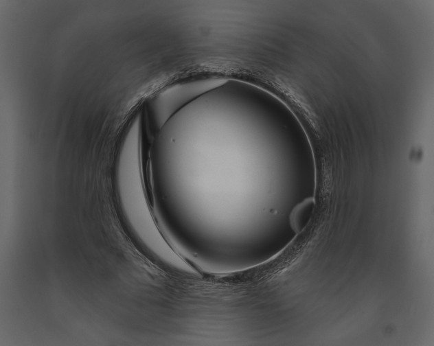 X0000091230681200708231655