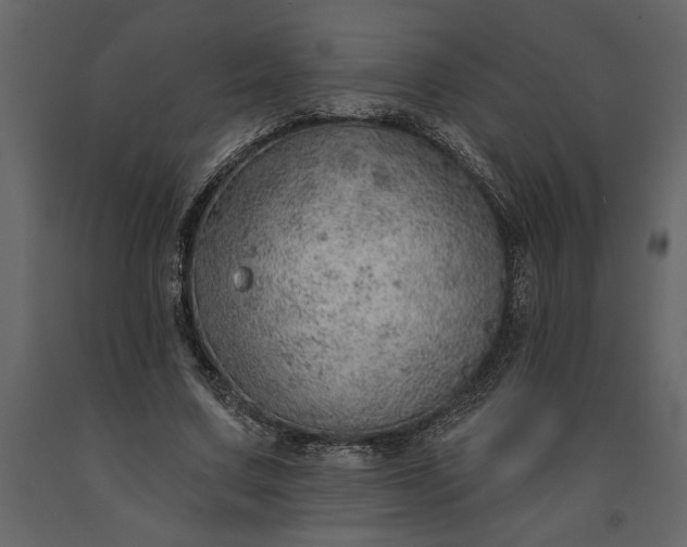 X0000091230683200708231655