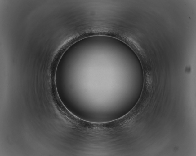 X0000091230684200708231655