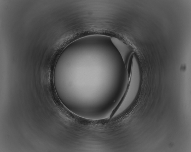 X0000091230685200708231655