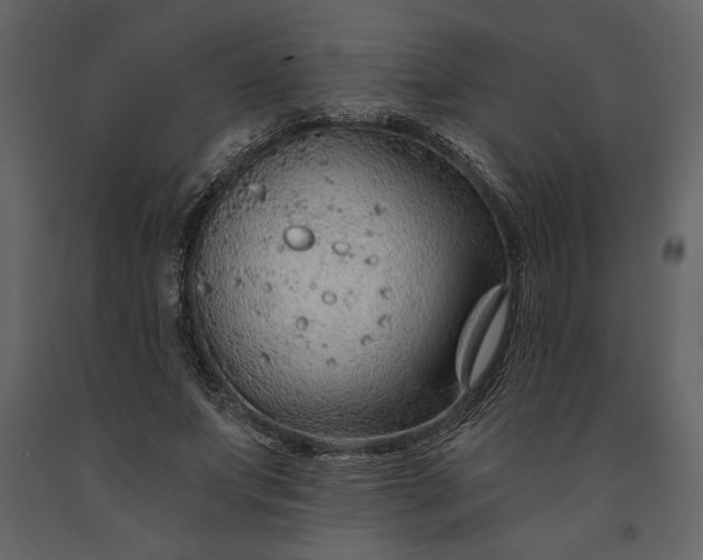 X0000091230687200708231655