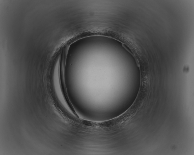 X0000091230688200708231655