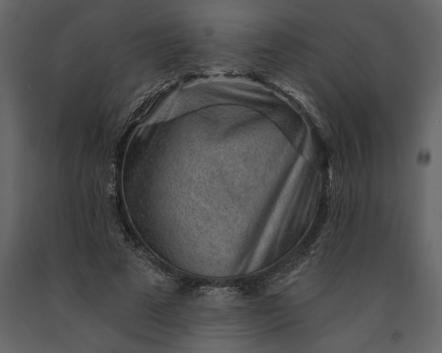 X0000091230689200708231655