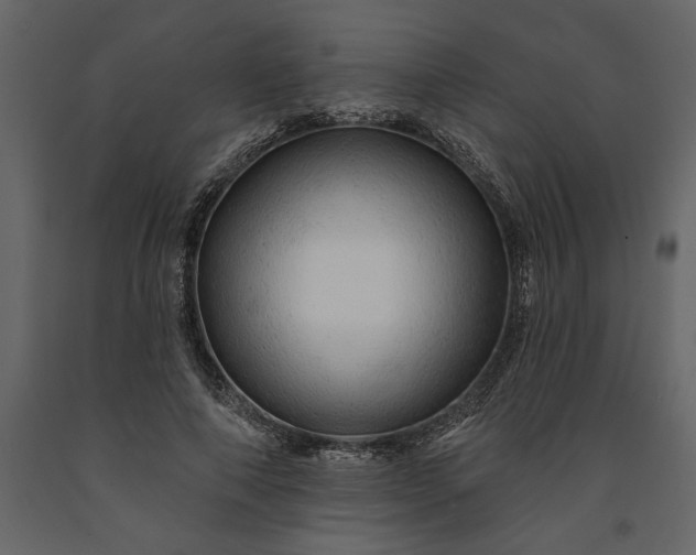 X0000091230690200708231655