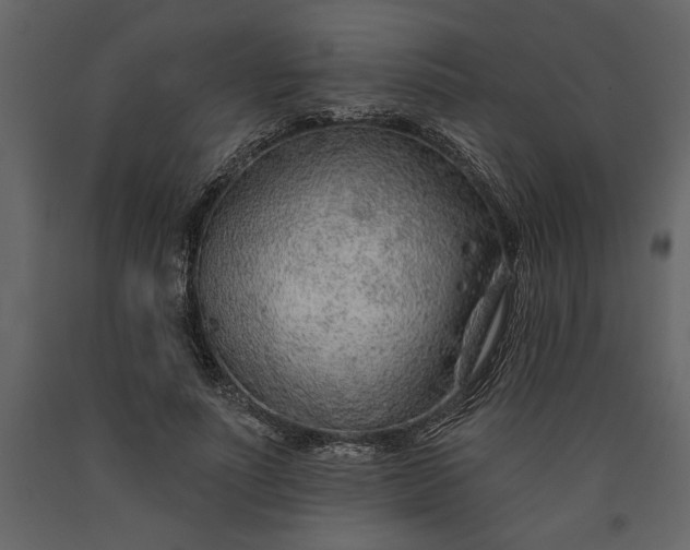 X0000091230691200708231655