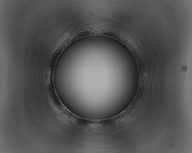 X0000091230694200708231655