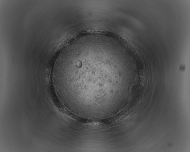 X0000091230695200708231655