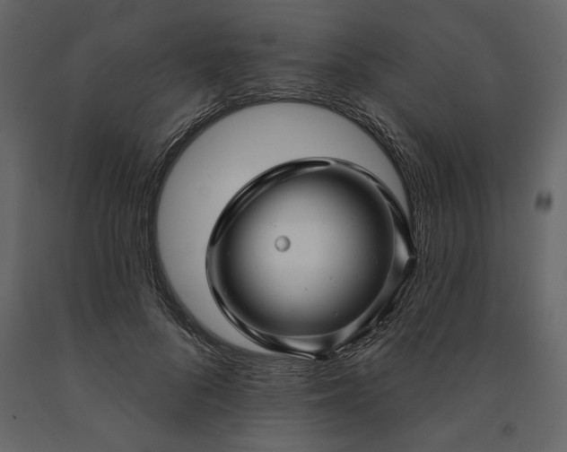X0000091230696200708231655