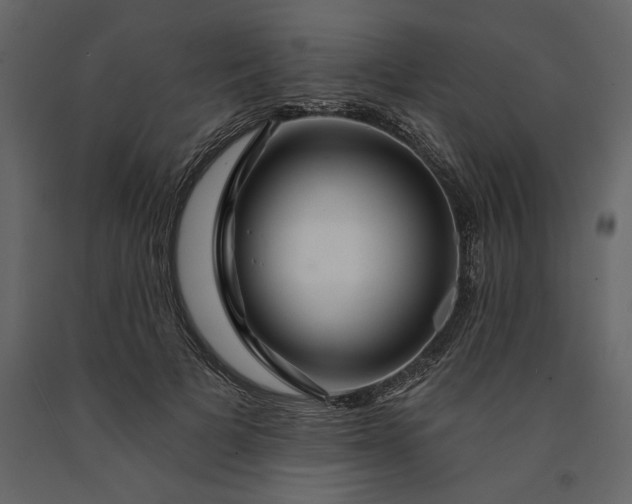 X0000091230697200708231655