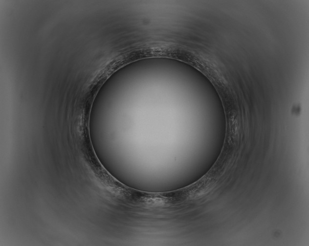 X0000091230698200708231655