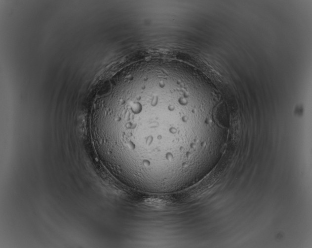 X0000091230699200708231655