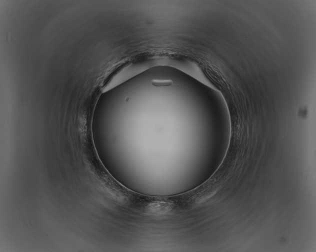 X0000091230700200708231655