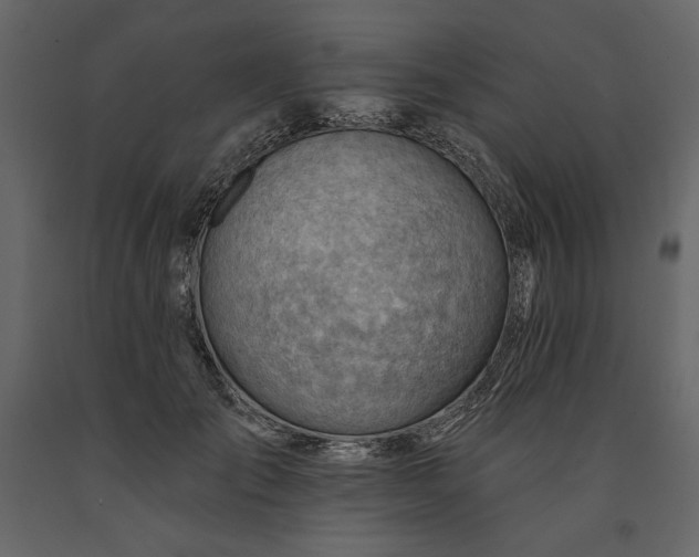 X0000091230701200708231655