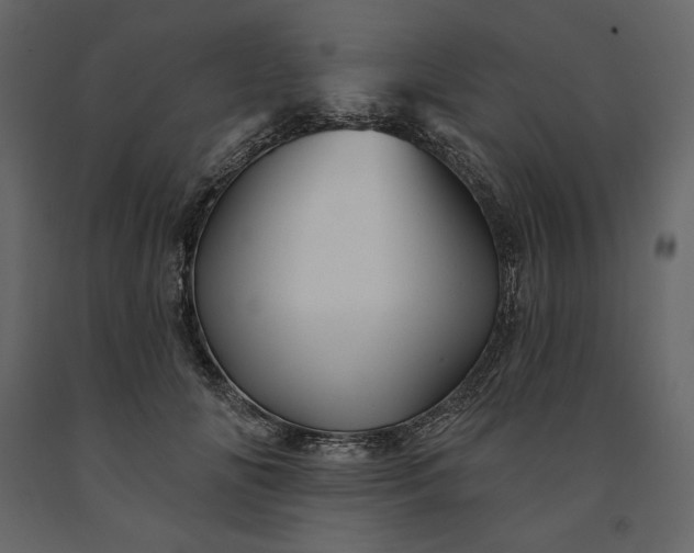 X0000091230702200708231655