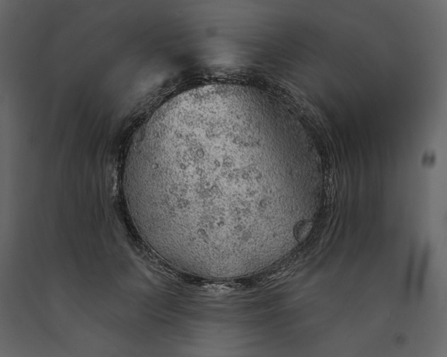 X0000091230703200708231655