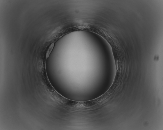 X0000091230704200708231655