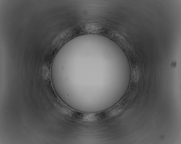 X0000091230705200708231655