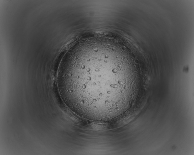 X0000091230707200708231654