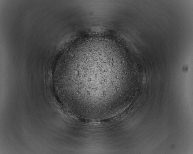 X0000091230711200708231654
