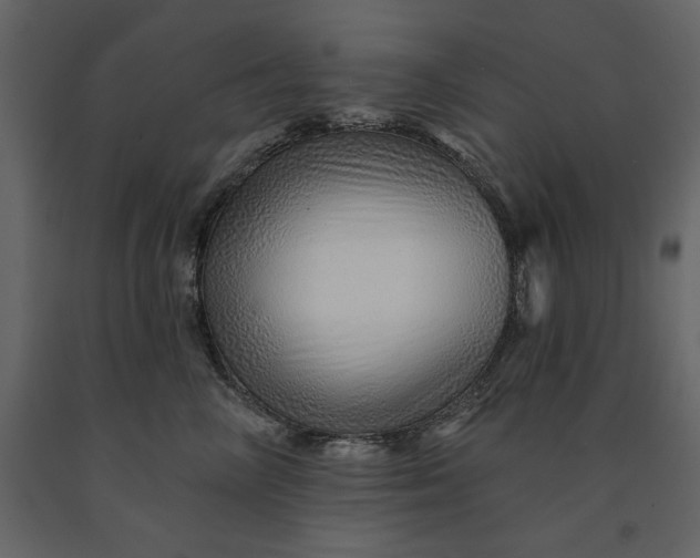 X0000091230714200708231654