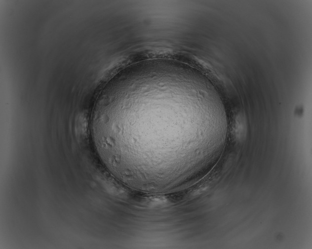 X0000091230715200708231654